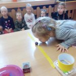 phoca_thumb_m_zajci a vtr 3 Fotogalerie